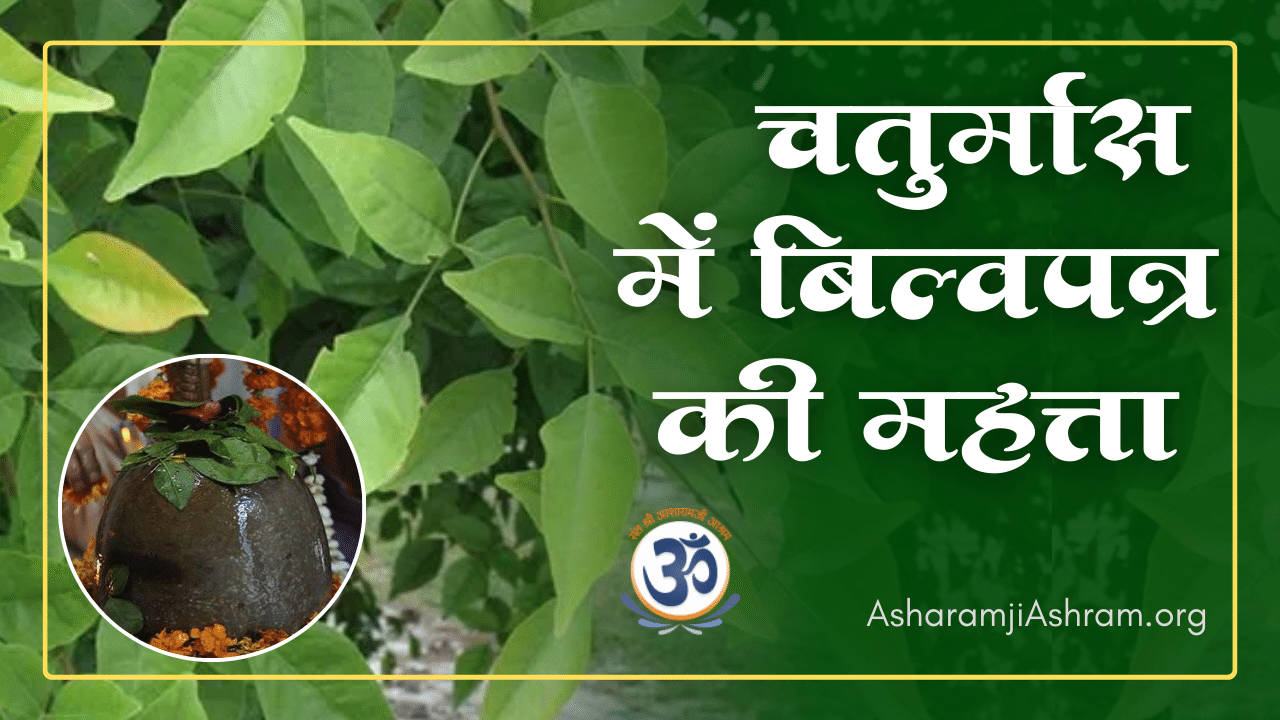 Read more about the article Chaturmas Me Bel Patra Health Benefits and Importance in Hindi